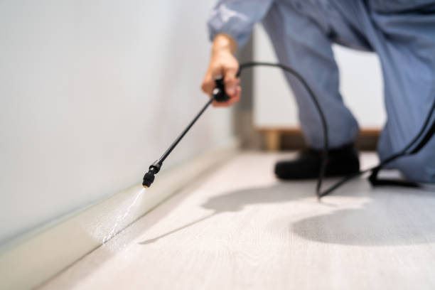 Certified termite inspector examining foundation in Bath